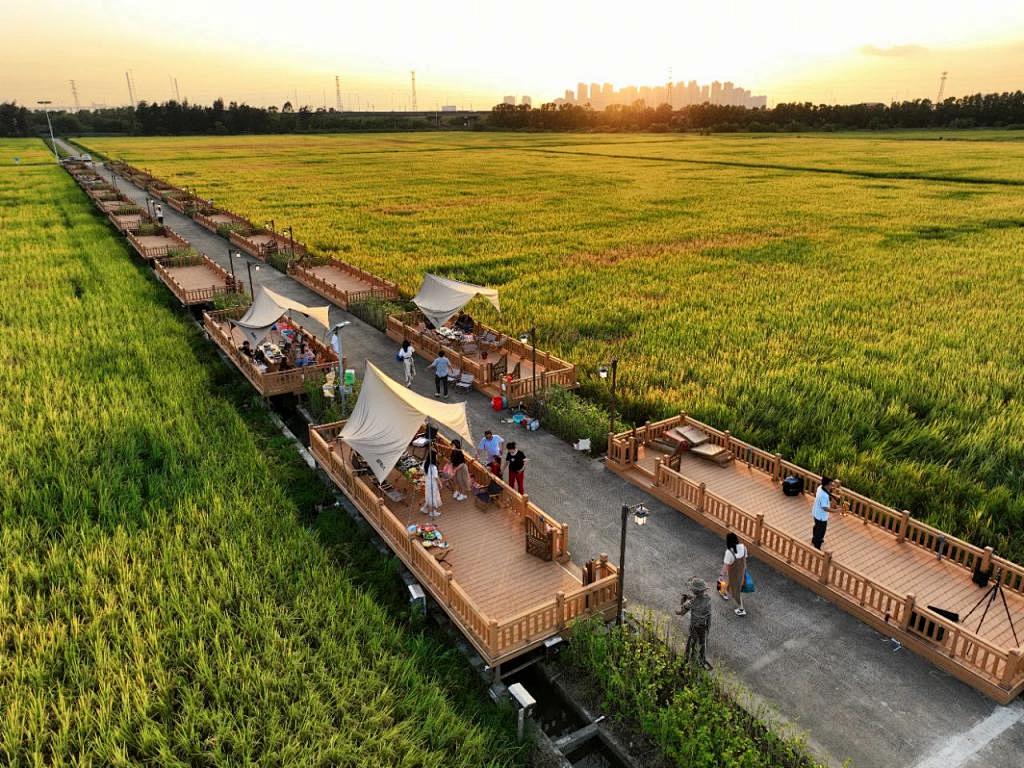 用景觀(guān)振興鄉(xiāng)村丨稻田景觀(guān)設(shè)計(jì)