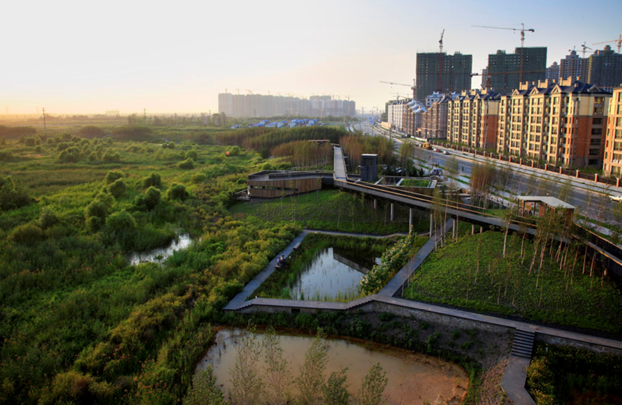 雨水花園實(shí)拍圖